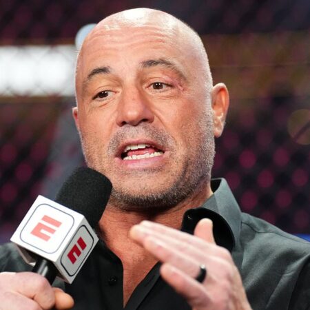 Джо Роган: Звезда UFC установила стандарт в одной области
