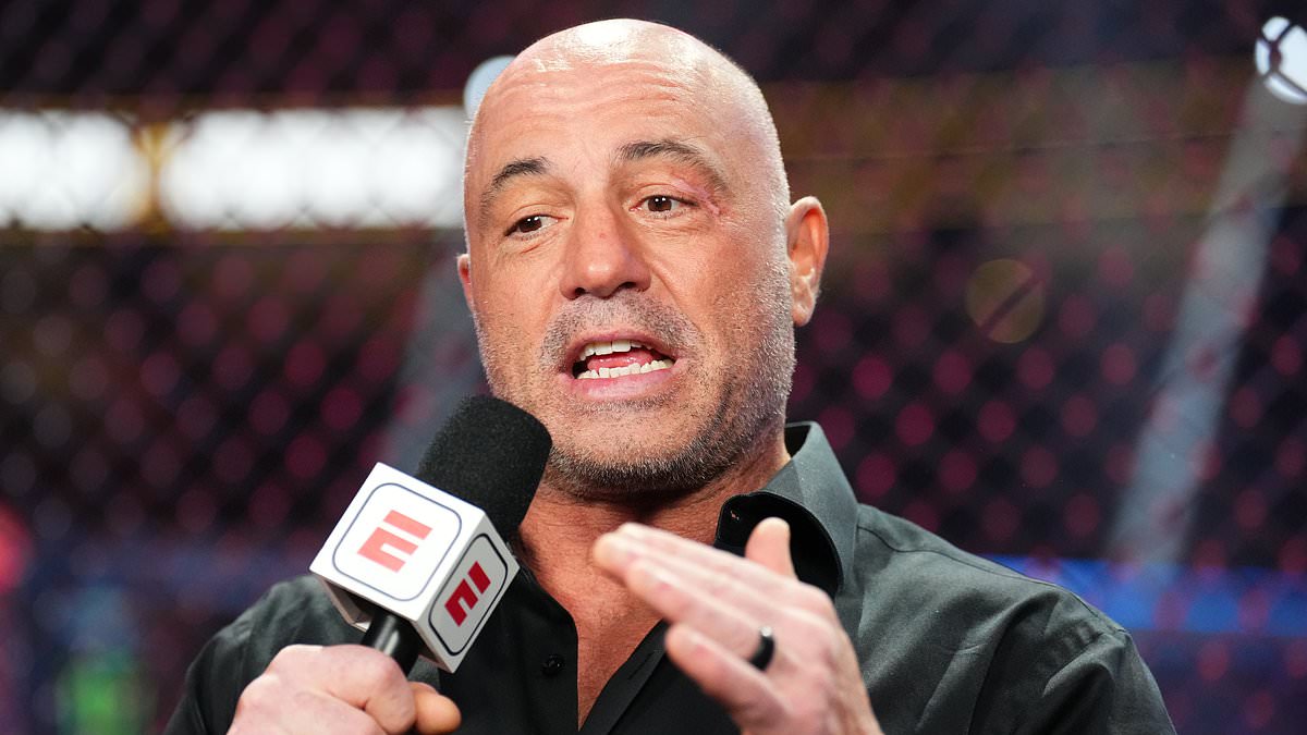 Preview Джо Роган: Звезда UFC установила стандарт в одной области