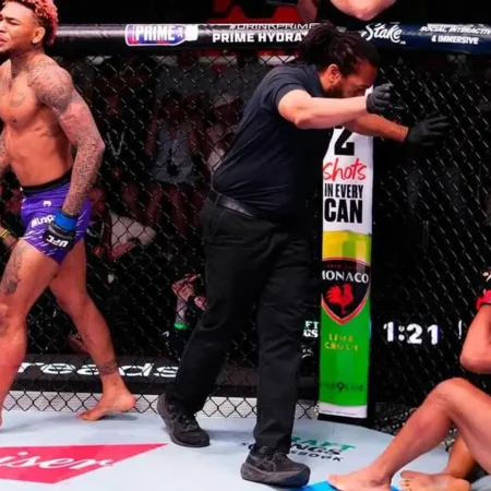 Бывшая чемпионка UFC Крис Сайборг одержала брутальную победу нокаутом в первом раунде в боксе