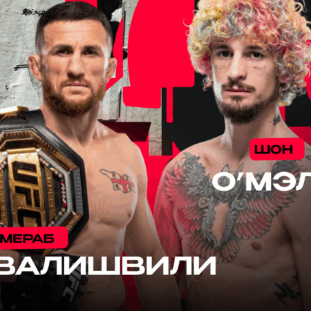Шон О’Мэлли о возможных будущих боях после реванша с Мерабом Двалишвили на UFC 316