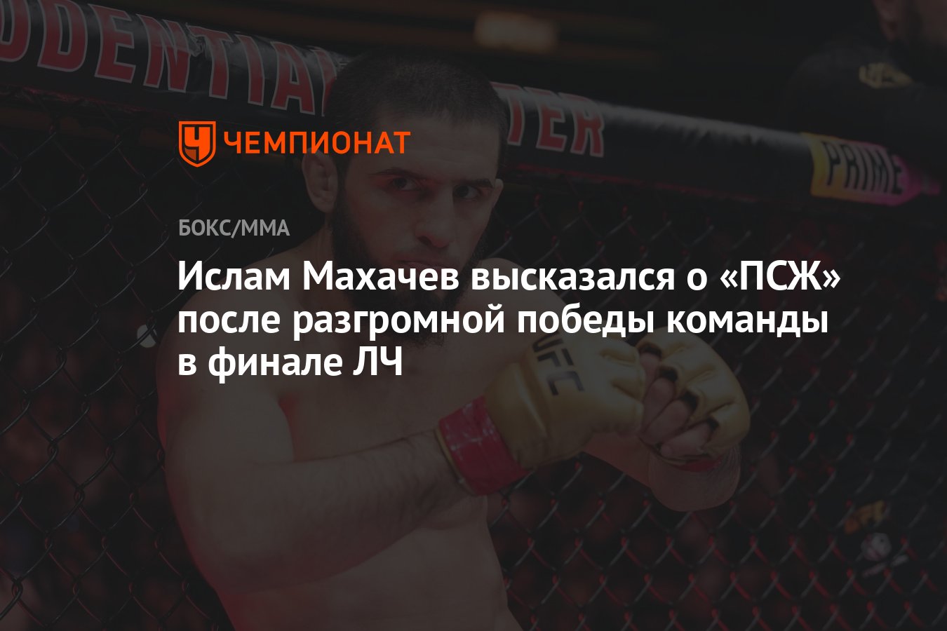 Preview Шон О’Мэлли: Звезда UFC наравне с Исламом Махачевым в рейтинге P4P