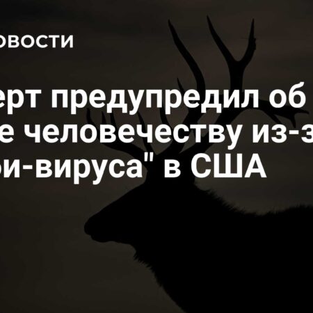 Эксперт предупреждает Кейлу Харрисон об опасности постоянной ‘пытки’ весом после пугающего фото