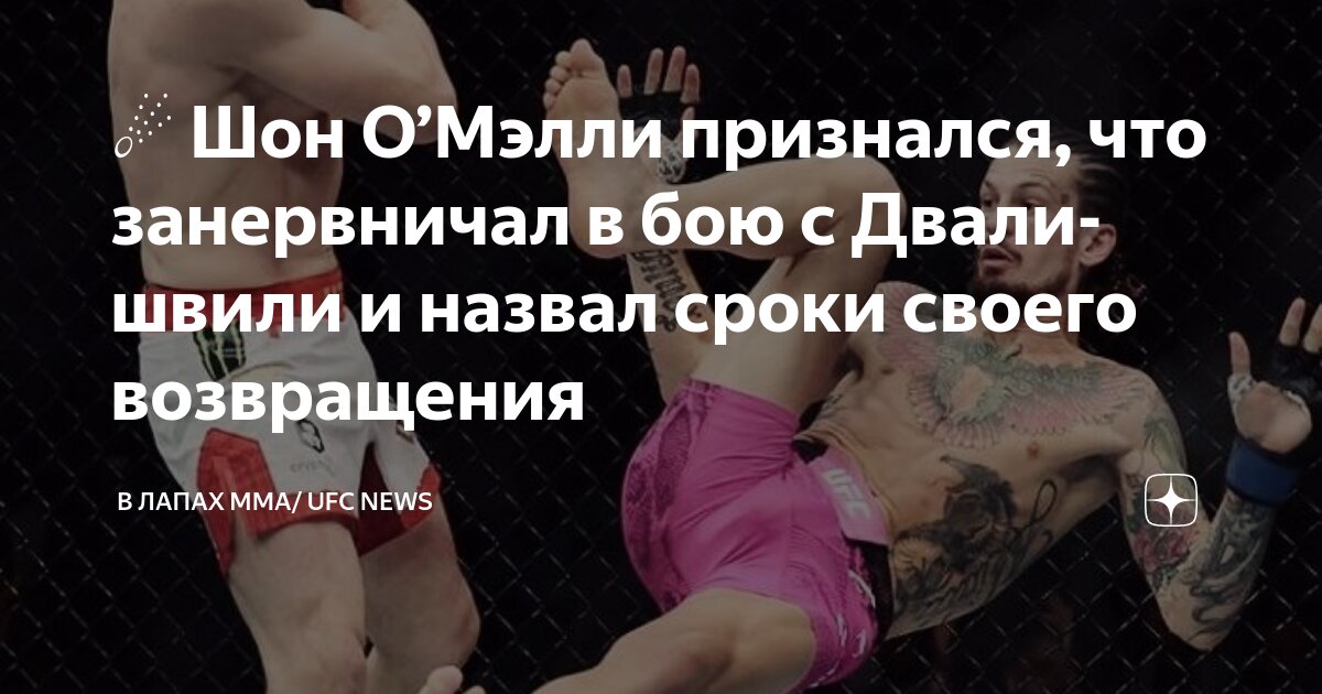 Preview Шон О’Мэлли: Планы на возвращение в UFC и возможный переход в другой дивизион