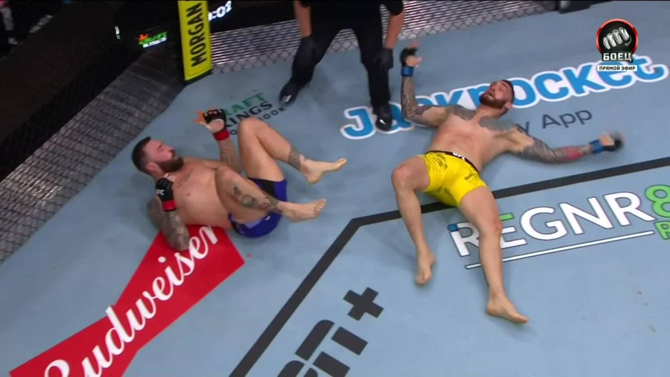 Preview Фанаты UFC требуют уволить Родольфо Беллато после спорного «нырка», приведшего к признанию боя несостоявшимся