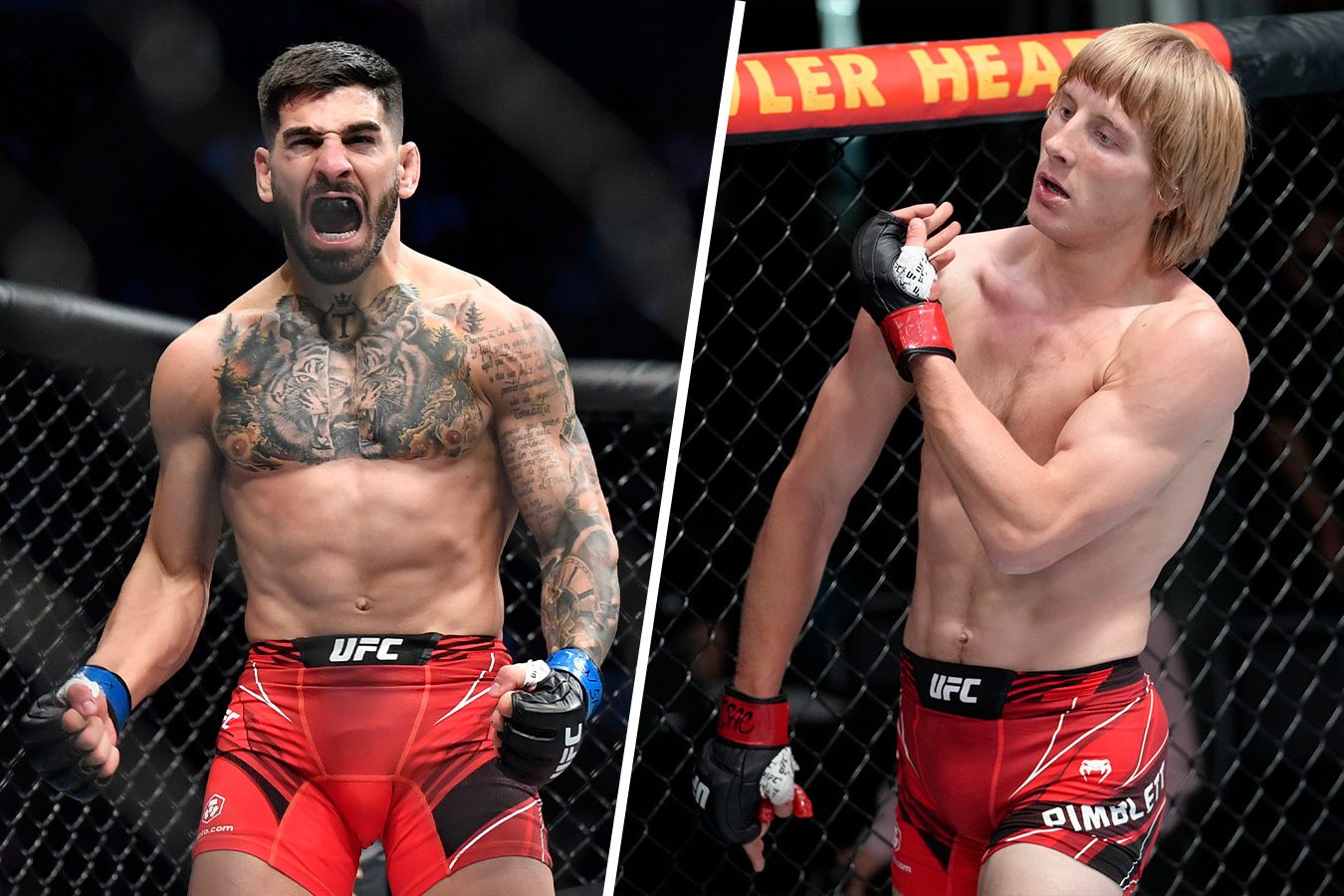 Preview Илия Топурия снова меняет отношение к Пэдди Пимблетту перед UFC 317 после кажущегося примирения с британцем