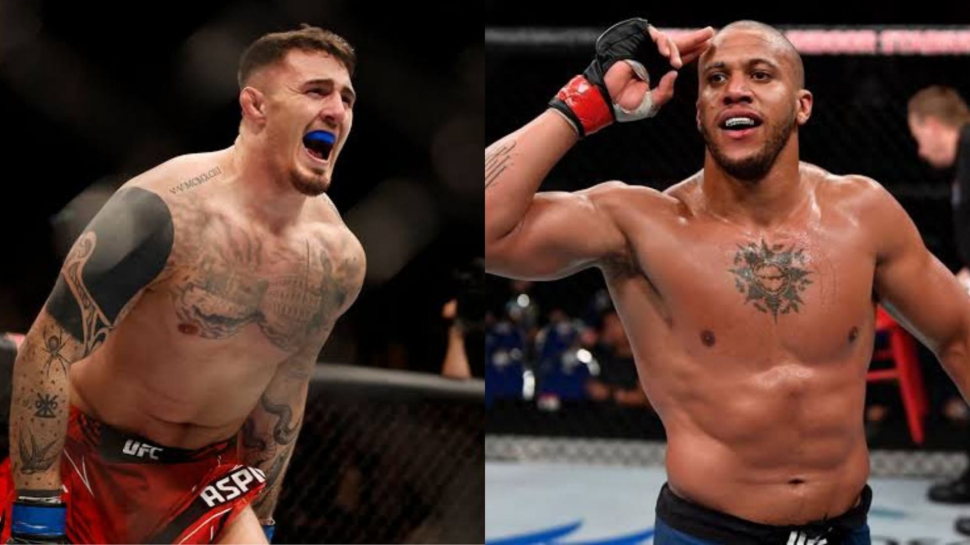 Preview Аналитики UFC: Аспинэллу стоит драться с Льюисом, а не с Ганом