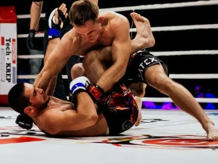 Бокс в 1Win и Mostbet