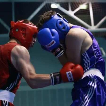 Линия спорта на 1Win и 1xBet