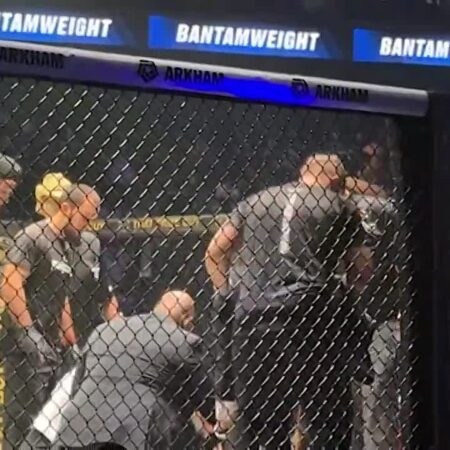 Диалог Хабиба Нурмагомедова с Серхио Петтисом после яркого нокаута