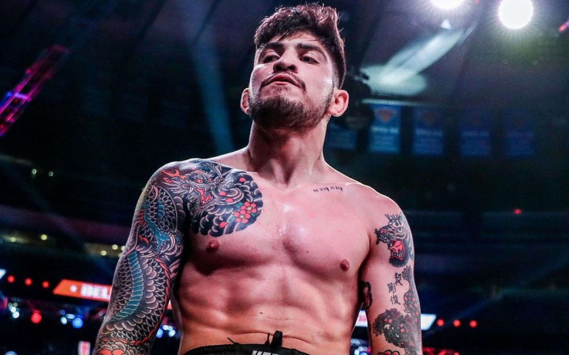 Preview Диллон Дэнис рискует $85,000 на UFC 320 после недавнего сокрушительного проигрыша в $150,000