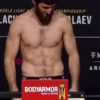 Почему Магомеду Анкалаеву стоит серьезно рассмотреть переход в PFL после UFC 320