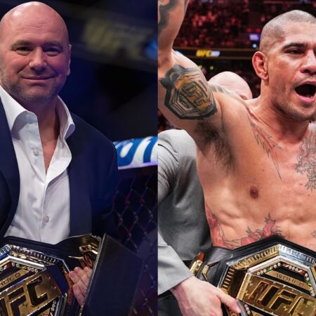 Алекс Перейра назван величайшим в истории UFC бывшим чемпионом, кардинально изменившим свою позицию