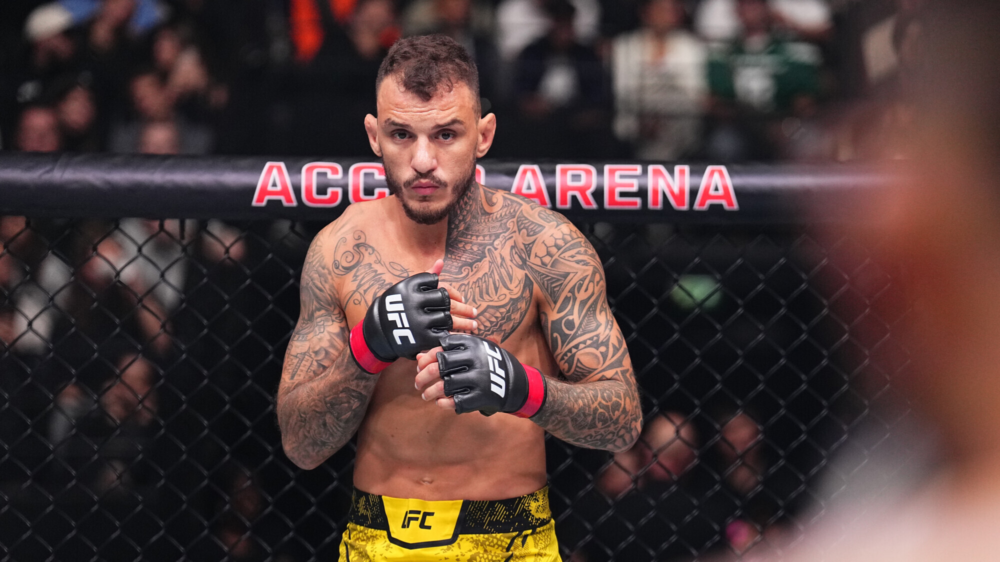 Preview Ренато Мойкано: «Я избежал пули, не сразившись с Чарльзом Оливейрой на UFC Rio»