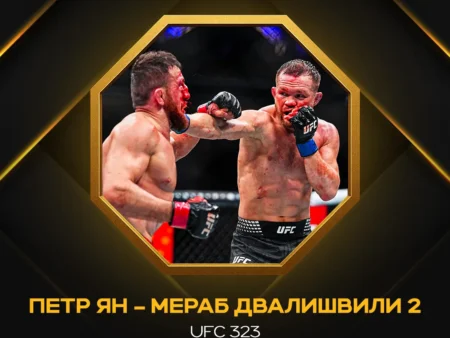 Мераб Двалишвили признан самым тестируемым бойцом UFC в 2025 году