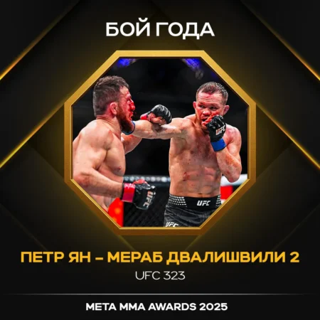 Мераб Двалишвили признан самым тестируемым бойцом UFC в 2025 году