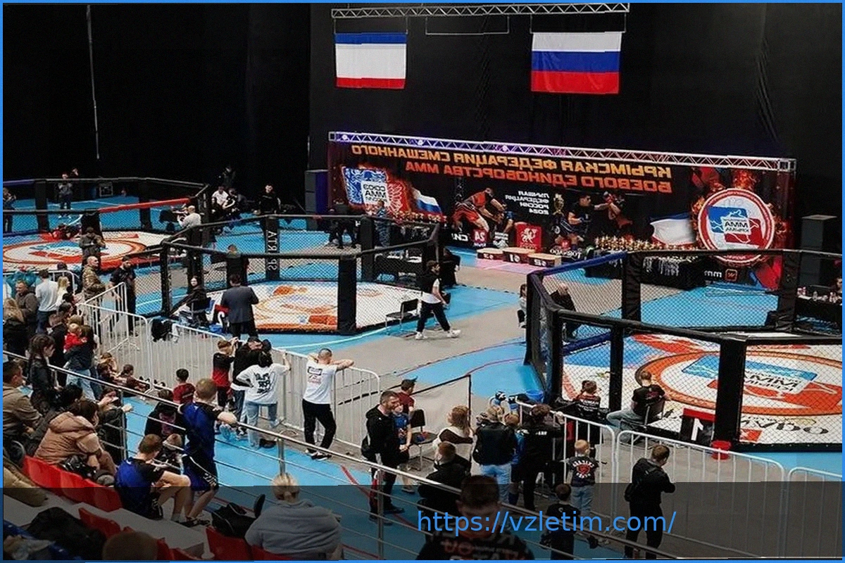 Preview Ежегодный турнир ММА в Крыму: Кубок Каменева Р.М.