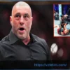 Джо Роган выразил скептицизм по поводу боя UFC на лужайке Белого дома