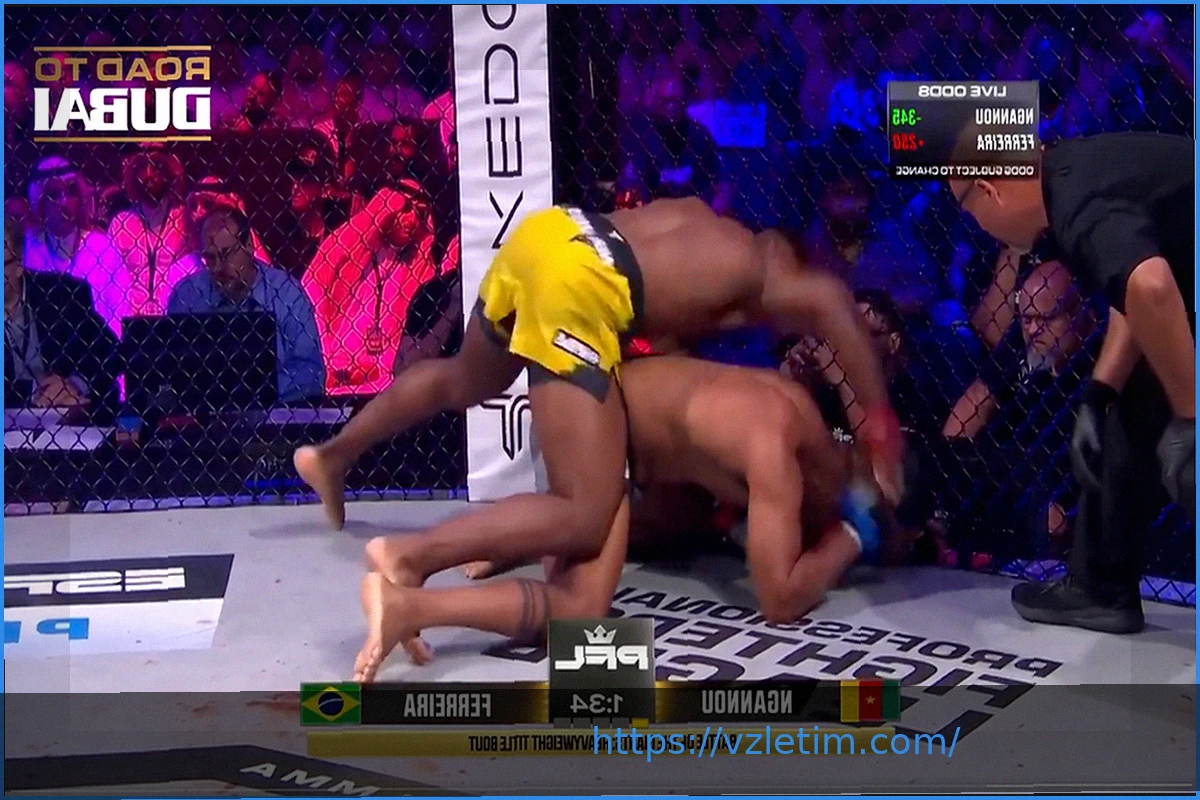 Preview PFL Madrid: Лучано Перейра сокрушает Кевина Кордеро в эффектном поединке