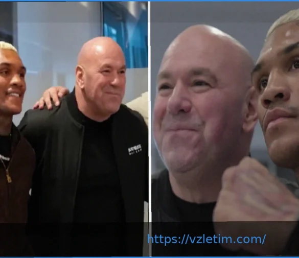 UFC защищает приобретение Конора Бенна Zuffa Boxing за $15 млн