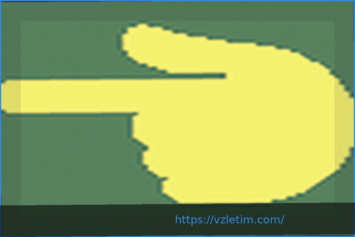 Preview Gloves & Gals: Расширение Возможностей Женщин Через Кикбоксинг