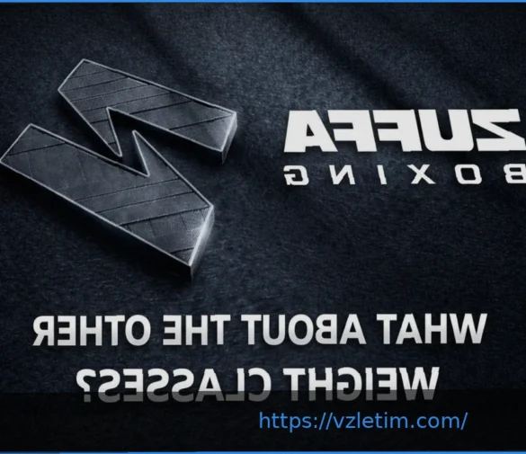 План Zuffa Boxing: Десять Весовых Категорий Остаются За Бортом