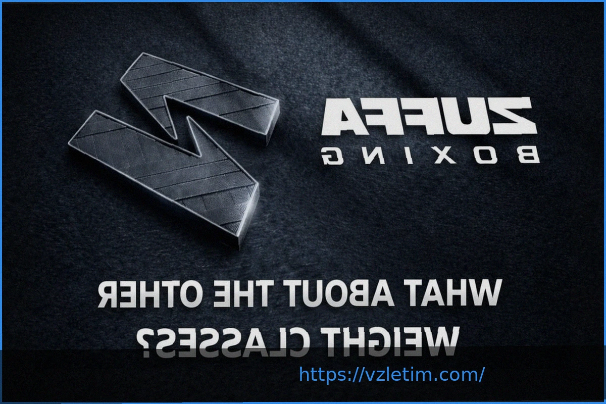 Preview План Zuffa Boxing: Десять Весовых Категорий Остаются За Бортом