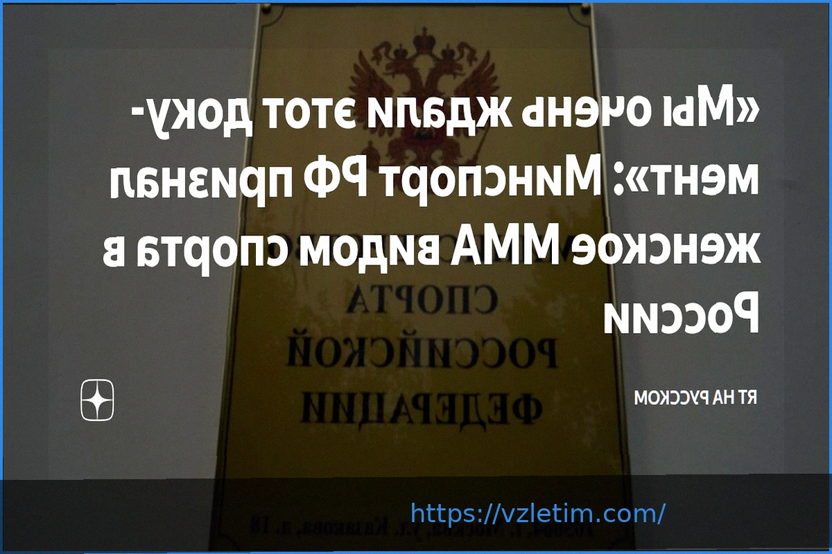 Preview Минспорт России официально признал женское ММА видом спорта