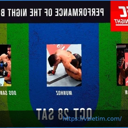 Прогнозы на бои UFC Fight Night в субботу