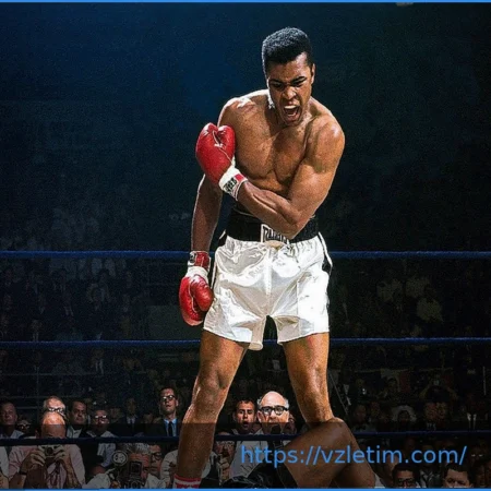 Законопроект о возрождении бокса имени Мухаммеда Али: Настоящая победа для бойцов?