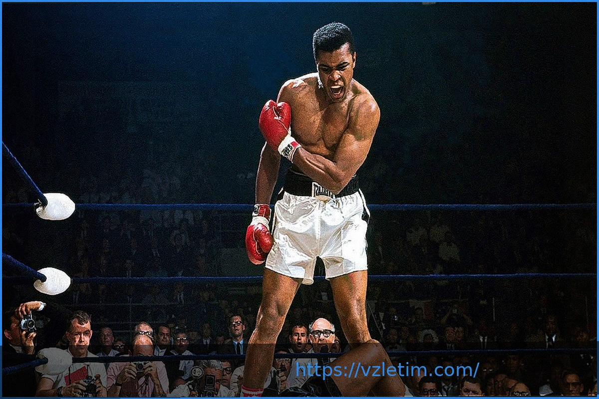 Preview Законопроект о возрождении бокса имени Мухаммеда Али: Настоящая победа для бойцов?