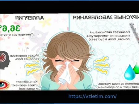 Дэйна Уайт: Планы UFC на Ближнем Востоке Неизменны, Несмотря на Войну в Иране