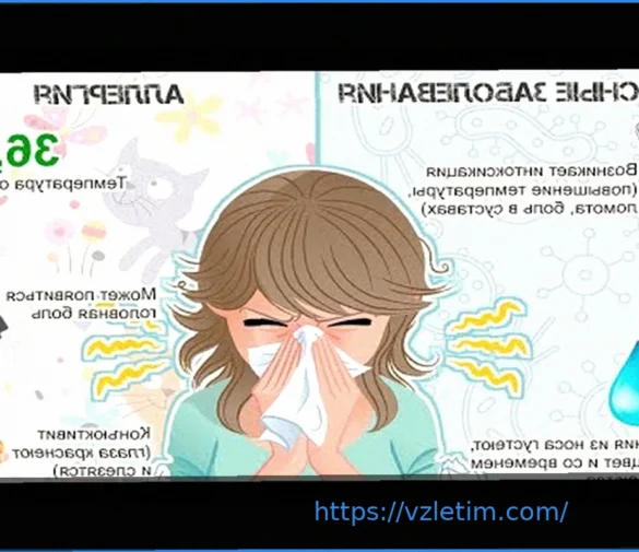 Дэйна Уайт: Планы UFC на Ближнем Востоке Неизменны, Несмотря на Войну в Иране