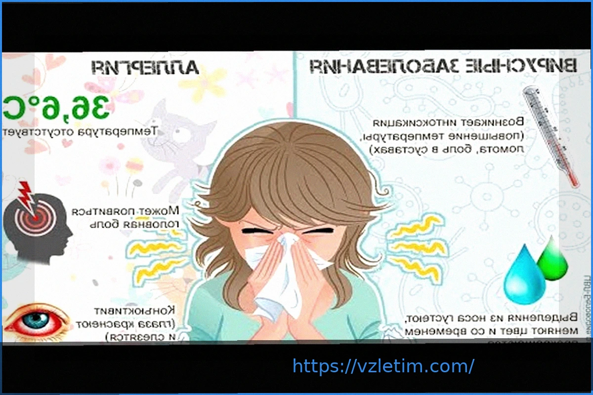 Preview Дэйна Уайт: Планы UFC на Ближнем Востоке Неизменны, Несмотря на Войну в Иране