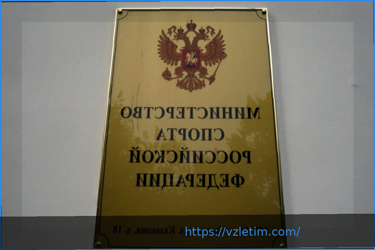 Preview Женские ММА официально признаны видом спорта в России