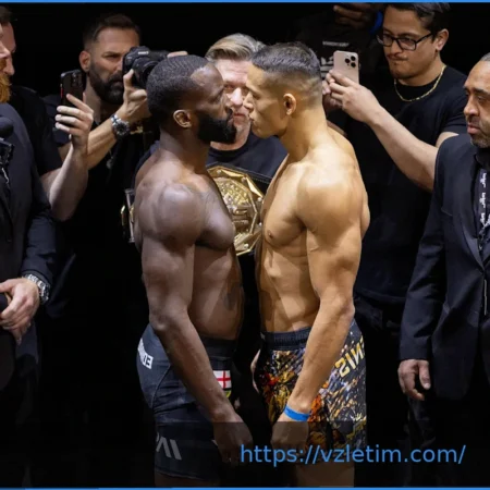 Результаты PFL Мадрид: Ван Стинису остановил Эдвардса в 3-м раунде, сохранив титул