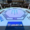 Результаты предварительных боев UFC London