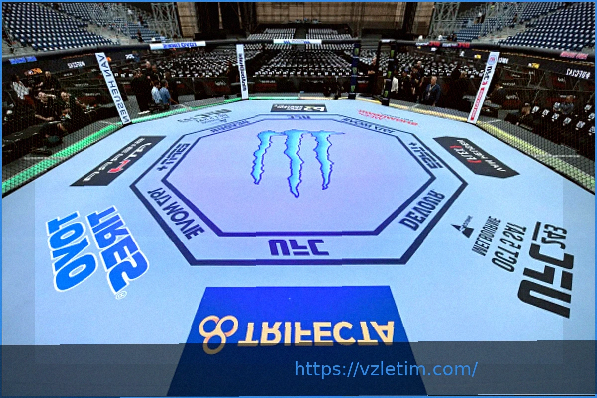 Preview Результаты предварительных боев UFC London