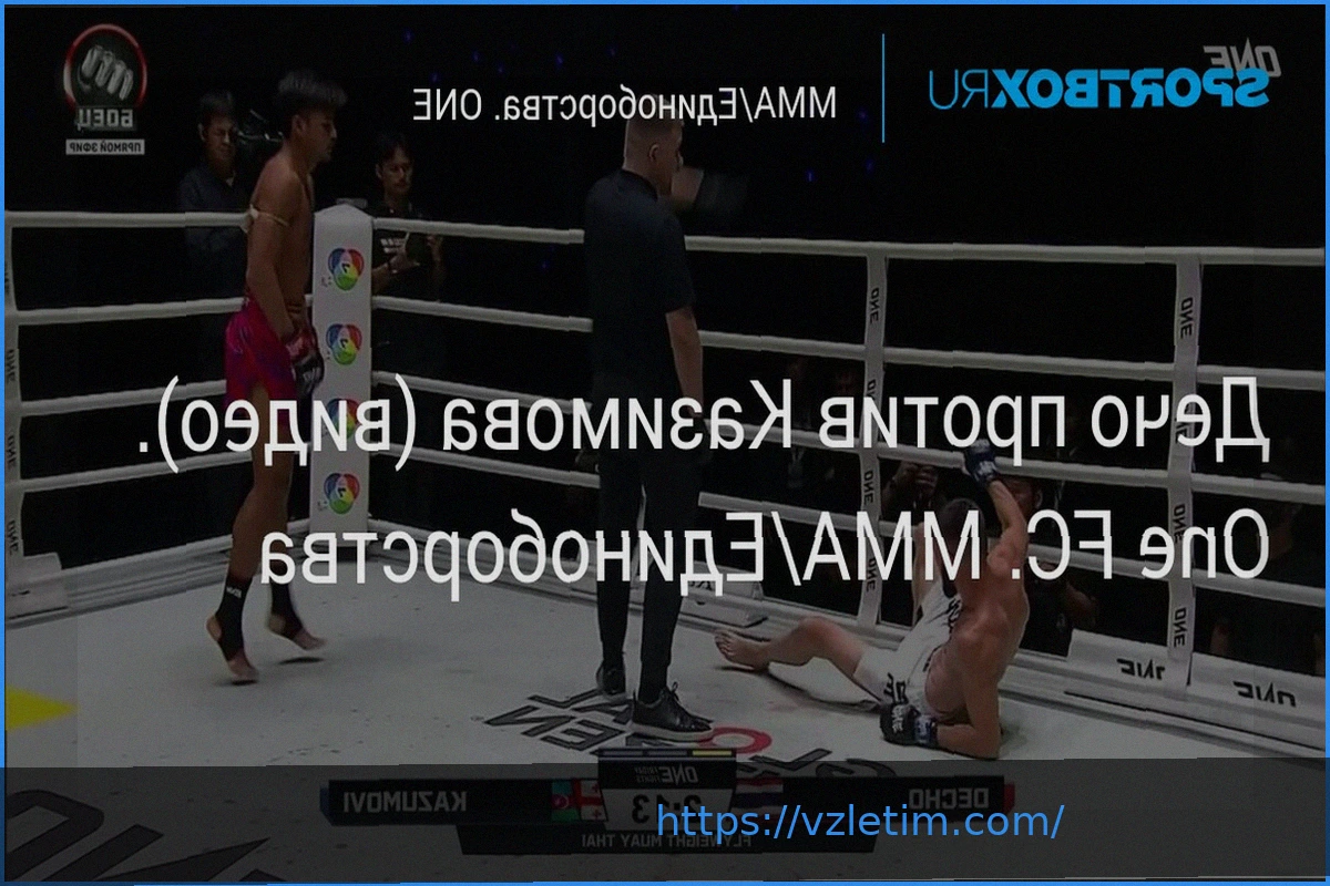 Preview Поединок Дечо против Казимова: Видеообзор боя на One FC