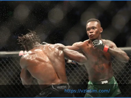 Алекс Перейра: Поражение от Адесаньи «Подтолкнуло Меня к Эволюции»