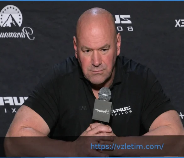 Главный Бой Zuffa Boxing 05 Вызвал Недоумение в Сети