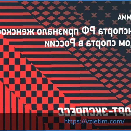 Женское ММА официально признано видом спорта в России