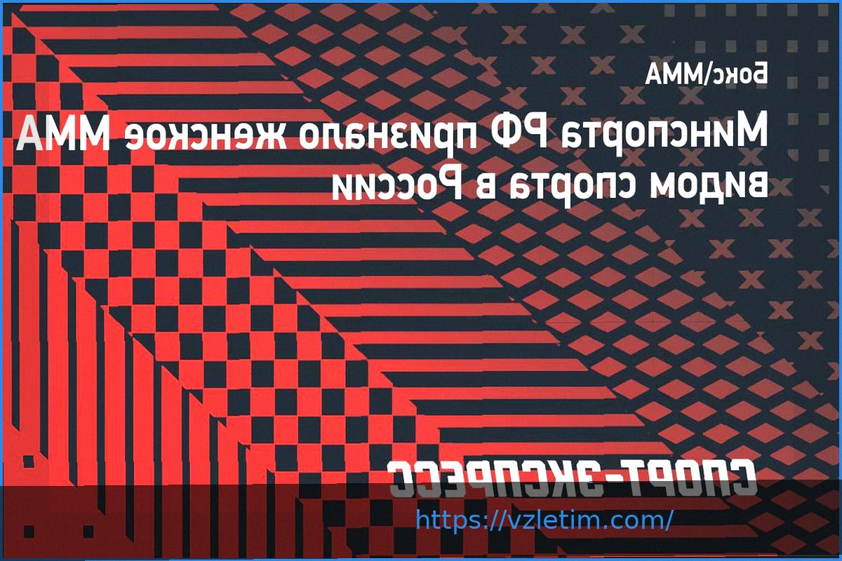 Preview Женское ММА официально признано видом спорта в России