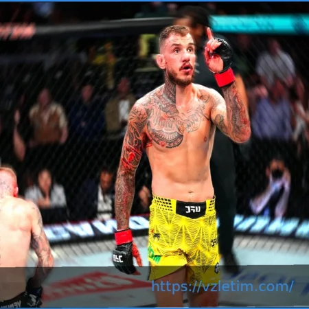 Ренато Мойкано – Звезда UFC
