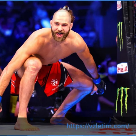 Стиль Иржи Прохазки: сомнения и восхищение в UFC