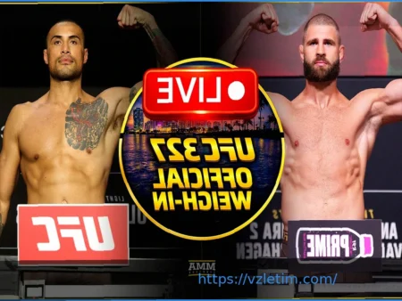 UFC 327: Прогноз на бой Прохазки и Ульберга, коэффициенты и предсказания от эксперта