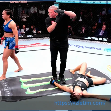 Ключевые поединки, которые стоит рассмотреть после UFC Vegas 115