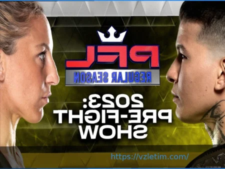 PFL Претория: Поединок, Результаты и Оценка Раундов