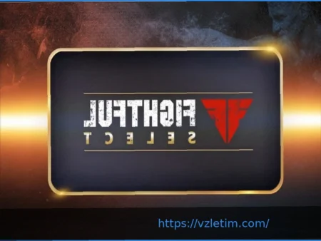 Анализ ставок на грядущие события в единоборствах