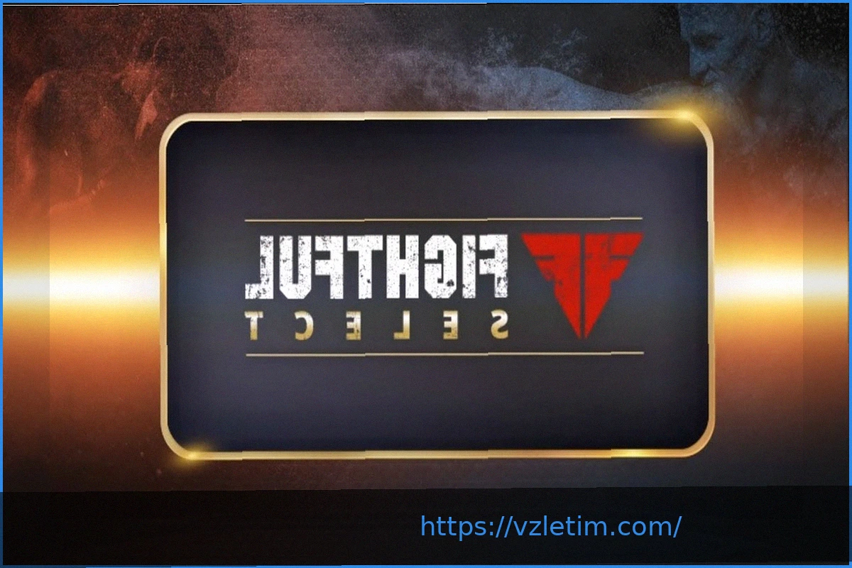 Preview Анализ ставок на грядущие события в единоборствах