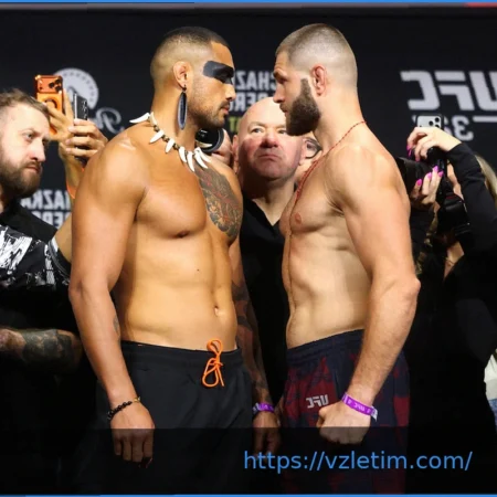 UFC 327: Прогноз, время и трансляция поединка Прохазка против Ульберга